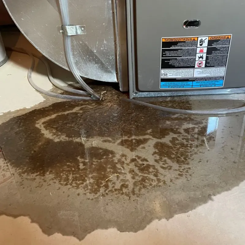 Pipe Burst and Leak Restoration in Newton, NJ