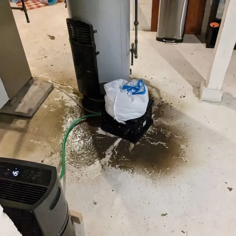 Sewage Backup Cleanup Service in Newton, NJ